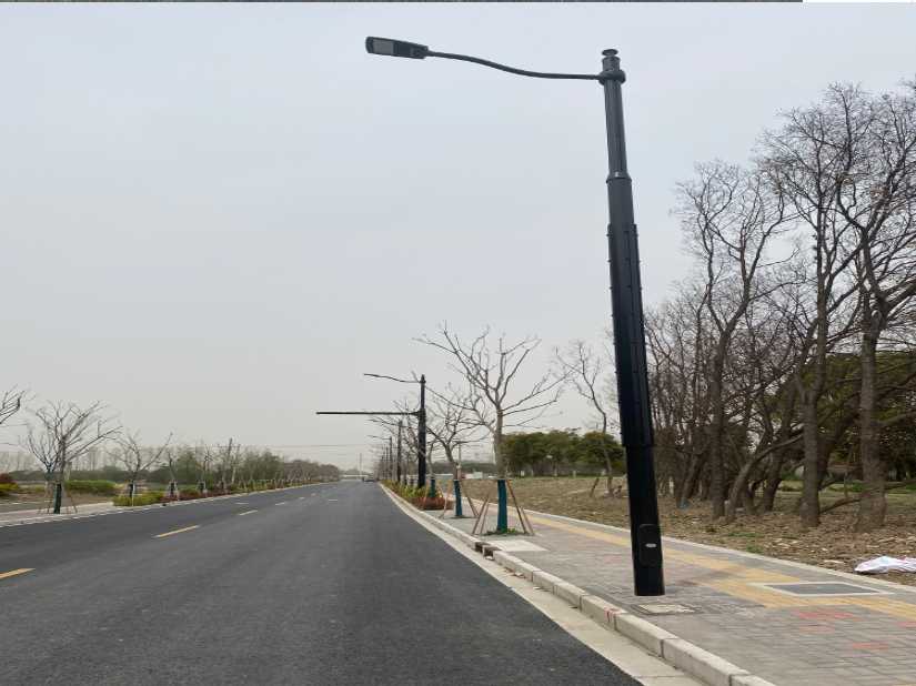 昭化区上海综合杆 太阳能路灯工程